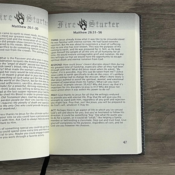 FIRE STARTERS: ONE YEAR DEVOTION THROUGH THE NEW TESTAMENT | GOSPEL PUBLISHING - Picture 4 of 7